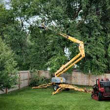 Best Commercial Tree Services  in Manchester, GA